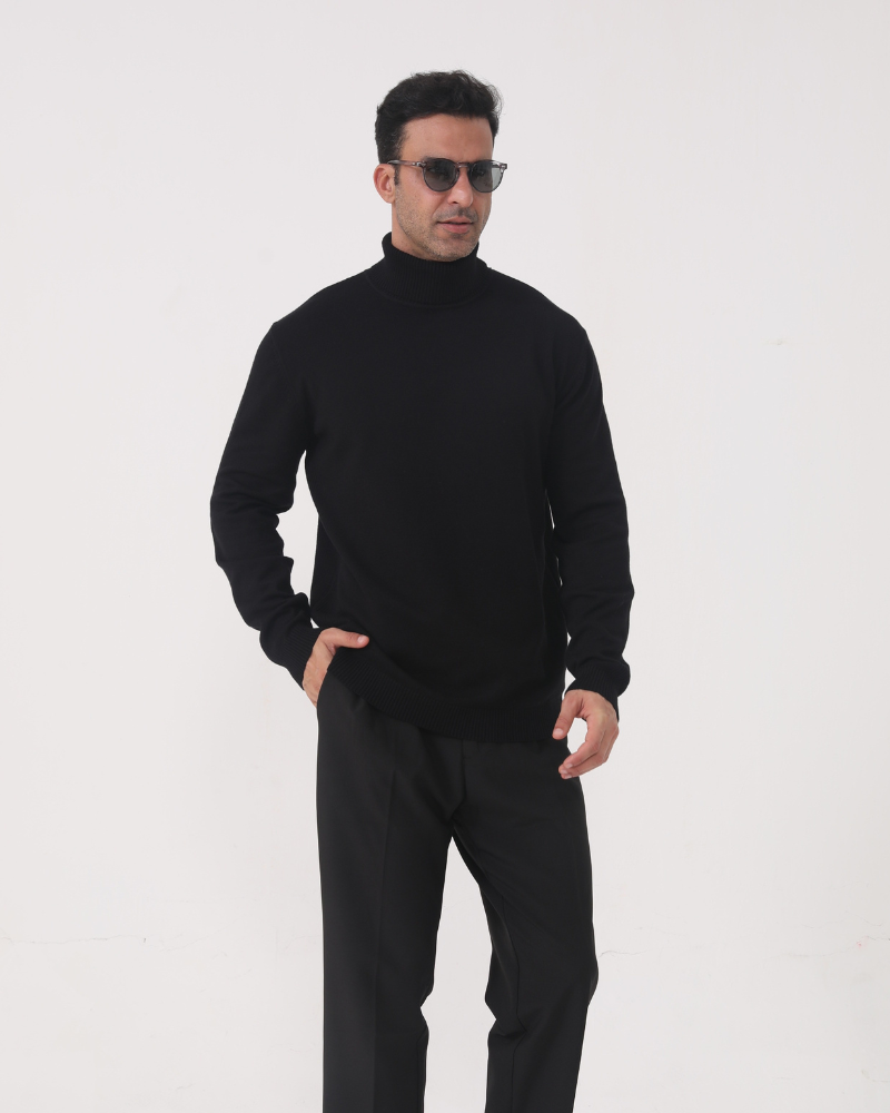 Pull homme col roulé tricot uni manches longues hiver - Aldren