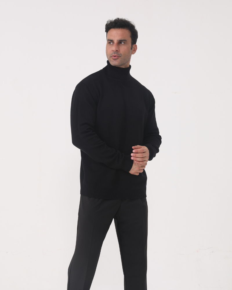Pull homme col roulé tricot uni manches longues hiver - Aldren
