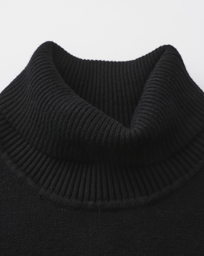 Pull homme col roulé tricot uni manches longues hiver - Aldren