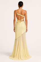 Robe longue et élégante à une épaule pour une invitée à un mariage - Birgit