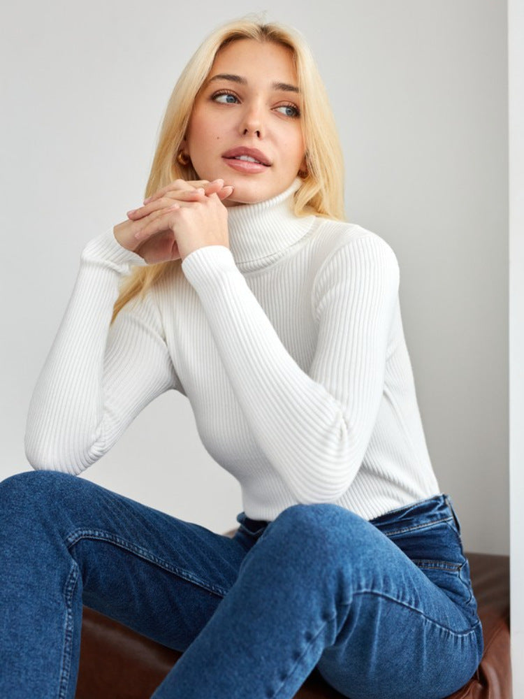 Pull femme col roulé manches longues maille douce quotidien - Inga
