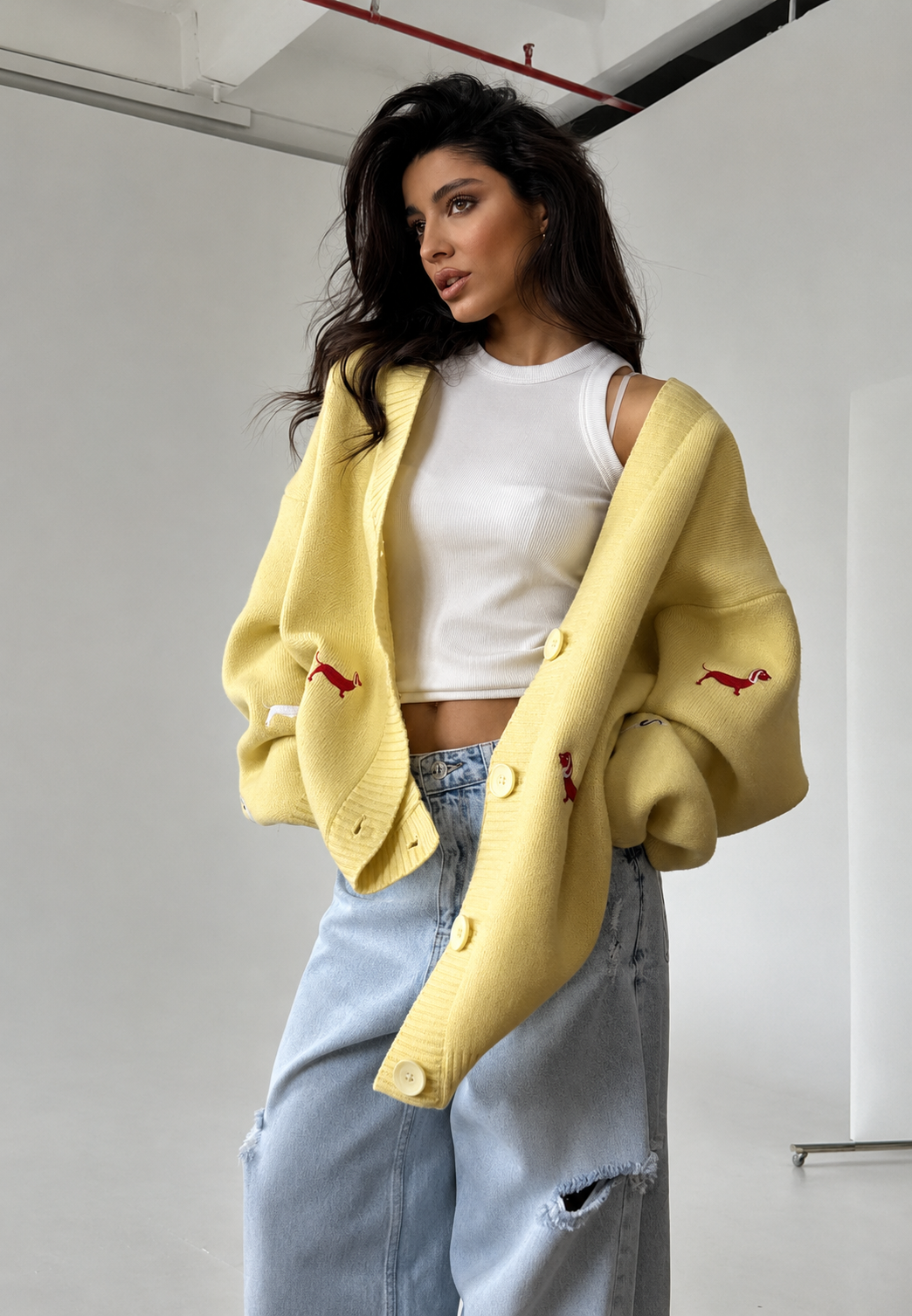 Cardigan oversize femme col V boutons motif teckel original - Marlis