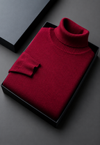 Pull homme col roulé maille unie manches longues basique - Savio