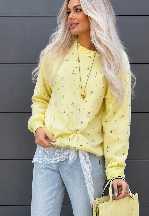Pulls Femme